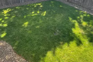 5505 Chad Ct, Colorado Springs, CO 80915 - Photo 21