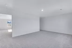 14329 Beebalm Ave, Parker, CO 80134 - Photo 31