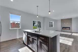 14329 Beebalm Ave, Parker, CO 80134 - Photo 9