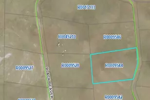 758 Black Beaver Circle, Hartsel, CO 80449 - Photo 1