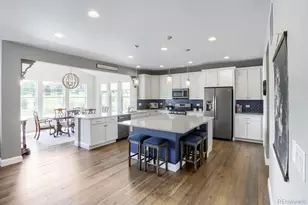 2728 Garganey Dr, Castle Rock, CO 80104 - Photo 3