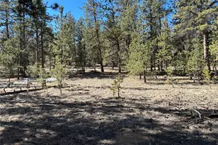 147 Haystack Rd, Hartsel, CO 80449 - Photo 1