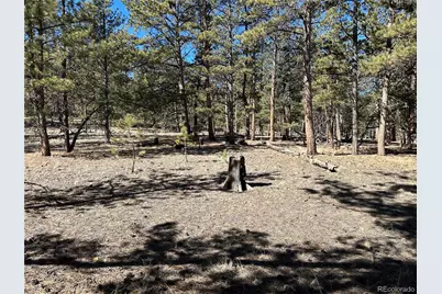 147 Haystack Road, Hartsel, CO 80449 - Photo 15
