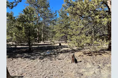 147 Haystack Road, Hartsel, CO 80449 - Photo 7