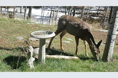 2230 County Road 72, Bailey, CO 80421 - Photo 39