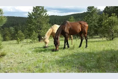 2230 County Road 72, Bailey, CO 80421 - Photo 37