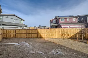 10291 E 62nd Pl, Denver, CO 80238 - Photo 45