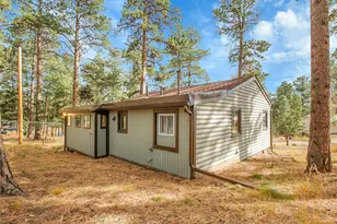 26731 Vosler St, Conifer, CO 80433 - Photo 41