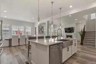 3055 Blithe Pt, Castle Rock, CO 80108 - Photo 13