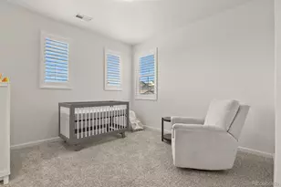 3055 Blithe Pt, Castle Rock, CO 80108 - Photo 29