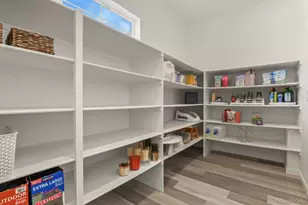 3055 Blithe Pt, Castle Rock, CO 80108 - Photo 17