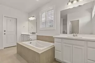 3055 Blithe Pt, Castle Rock, CO 80108 - Photo 27