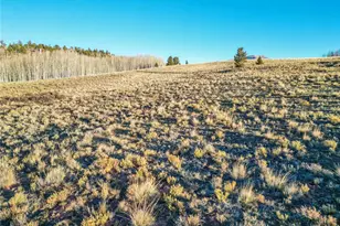 0 Canthook Ln, Fairplay, CO 80440 - Photo 1