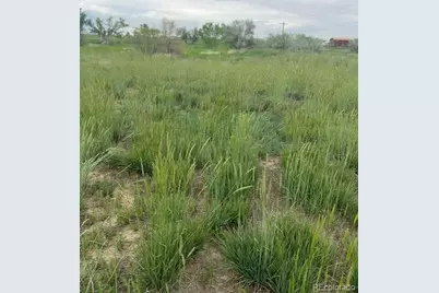 3233 County Road 19, Brighton, CO 80603 - Photo 3