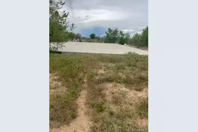 3233 County Road 19, Brighton, CO 80603 - Photo 7