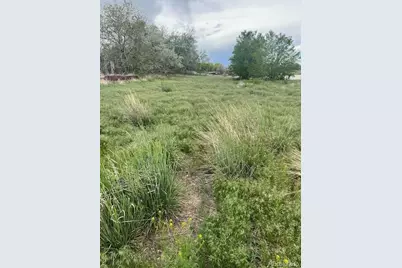 3233 County Road 19, Brighton, CO 80603 - Photo 1