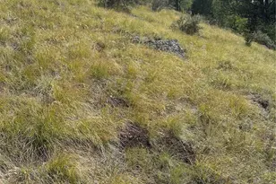 Off Hwy 1, Cripple Creek, CO 80813 - Photo 1