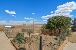 13424 Alex Pl, Carr, CO 80612 - Photo 43