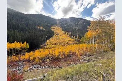 54 Windy Gap Loop, Empire, CO 80438 - Photo 47