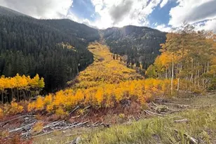 54 Windy Gap Loop, Empire, CO 80438 - Photo 47