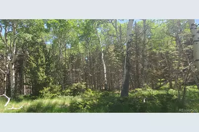 Lot 3085 Henderson Lane, Fort Garland, CO 81133 - Photo 9