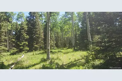 Lot 3085 Henderson Lane, Fort Garland, CO 81133 - Photo 5