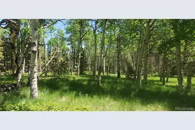 Lot 3085 Henderson Lane, Fort Garland, CO 81133 - Photo 3