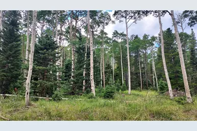 3079 Henderson Drive, Fort Garland, CO 81133 - Photo 1