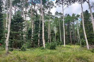 3079 Henderson Dr, Fort Garland, CO 81133 - Photo 1