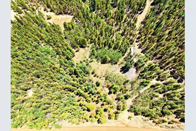 5940 Virginia Canyon Road, Central City, CO 80427 - Photo 9