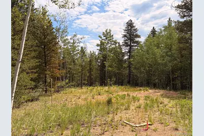 5940 Virginia Canyon Road, Central City, CO 80427 - Photo 7