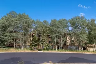 337 Streamside Ln, Frisco, CO 80443 - Photo 21