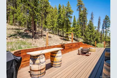 34075 Grouse Lane, Evergreen, CO 80439 - Photo 37