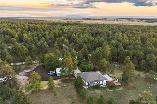 4845 Deer Trail, Elizabeth, CO 80107 - Photo 39