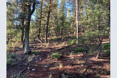 12907 S Cindy Avenue, Pine, CO 80470 - Photo 3