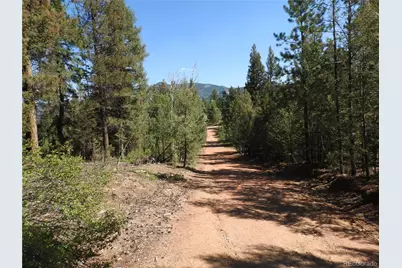 12907 S Cindy Avenue, Pine, CO 80470 - Photo 5