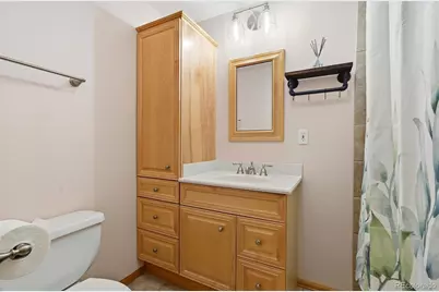 351 Eisenhower Drive, Palmer Lake, CO 80133 - Photo 25
