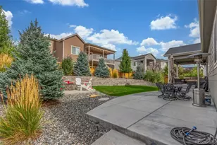 6695 Petunia Pl, Castle Rock, CO 80108 - Photo 41