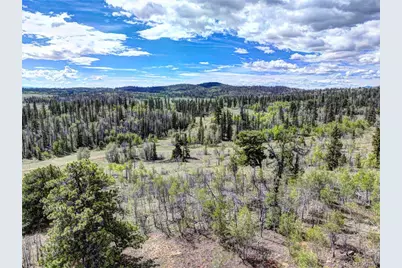 860 Shoshone Drive, Como, CO 80456 - Photo 23