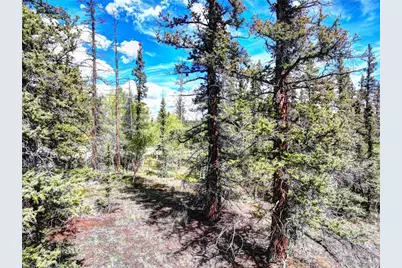 860 Shoshone Drive, Como, CO 80456 - Photo 5
