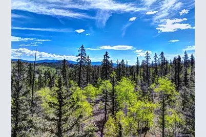860 Shoshone Drive, Como, CO 80456 - Photo 9