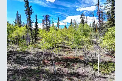 860 Shoshone Drive, Como, CO 80456 - Photo 7