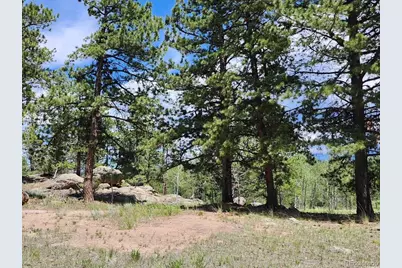 501 Cr-403, Florissant, CO 80816 - Photo 9