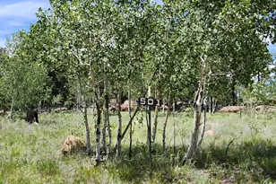 501 Cr-403, Florissant, CO 80816 - Photo 1