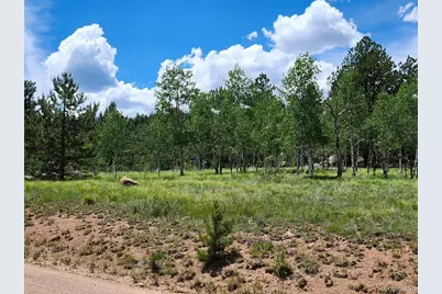 501 Cr-403, Florissant, CO 80816 - Photo 5