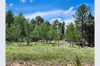 501 Cr-403, Florissant, CO 80816 - Photo 3