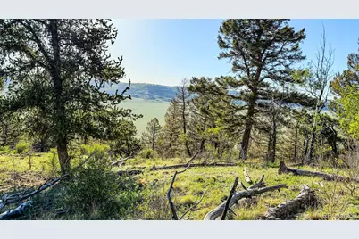 4924 Middle Fork Vista, Fairplay, CO 80440 - Photo 3