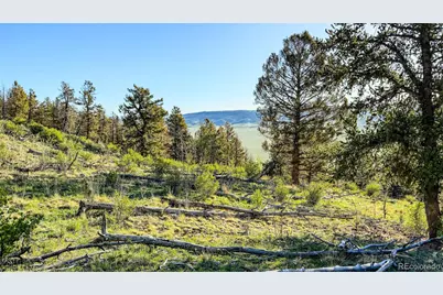 4924 Middle Fork Vista, Fairplay, CO 80440 - Photo 29