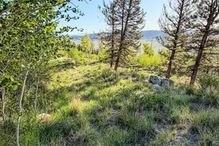 4924 Middle Fork Vista, Fairplay, CO 80440 - Photo 1