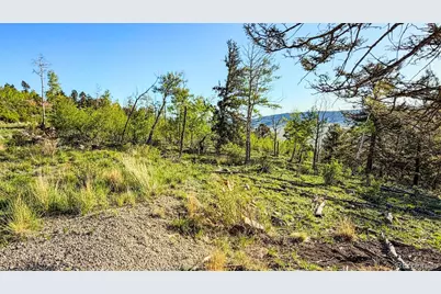 4924 Middle Fork Vista, Fairplay, CO 80440 - Photo 21
